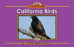 California Birds