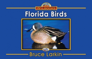 Florida Birds