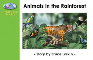 Animals in the Rainforest