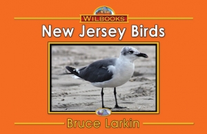 New Jersey Birds