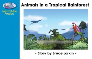 Animals in a Tropical Rainforest