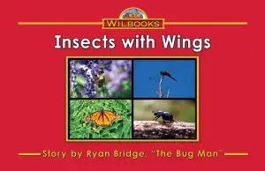 Insects with Wings