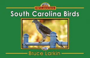 South Carolina Birds