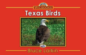 Texas Birds