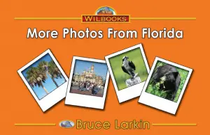 More Photos from Florida