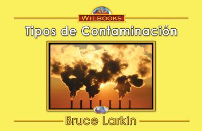 Tipos de contaminación