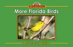 More Florida Birds