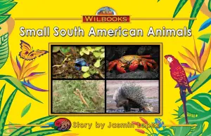 Small South America Animals