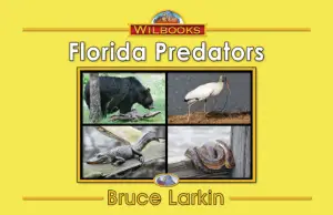 Florida Predators