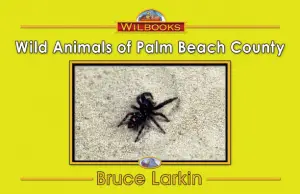 Wild Animals of Palm Beach County
