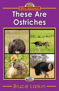 These Are Ostriches