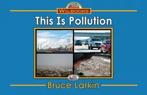 This Is Pollution