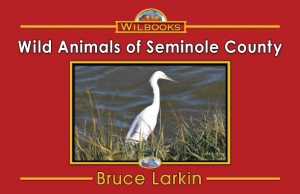 Wild Animals of Seminole County
