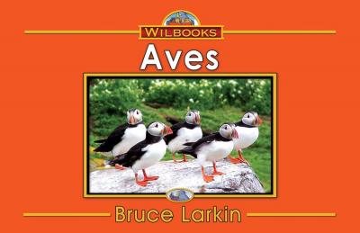 Aves