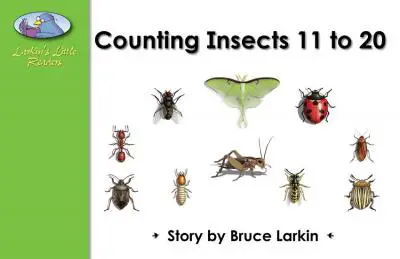 Counting Insects 11 to 20