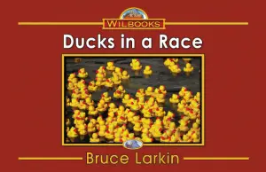 Ducks in a Race