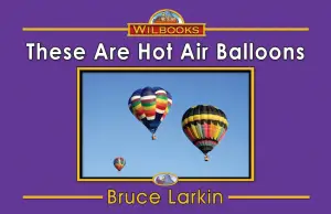 These Are Hot Air Balloons