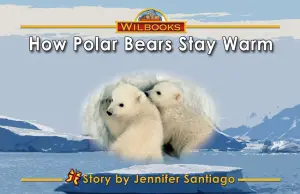 How Polar Bears Stay Warm