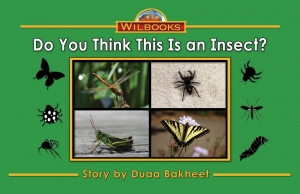 Do You Think This Is an Insect?