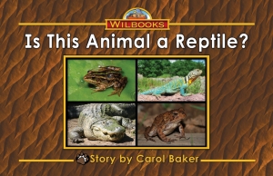 Is This Animal a Reptile?