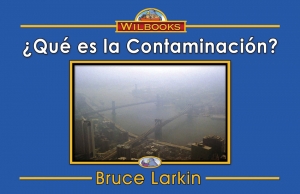 ¿Qué es la contaminación?