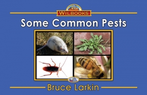 Some Common Pests