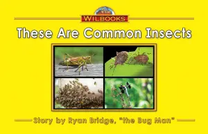 These Are Common Insects
