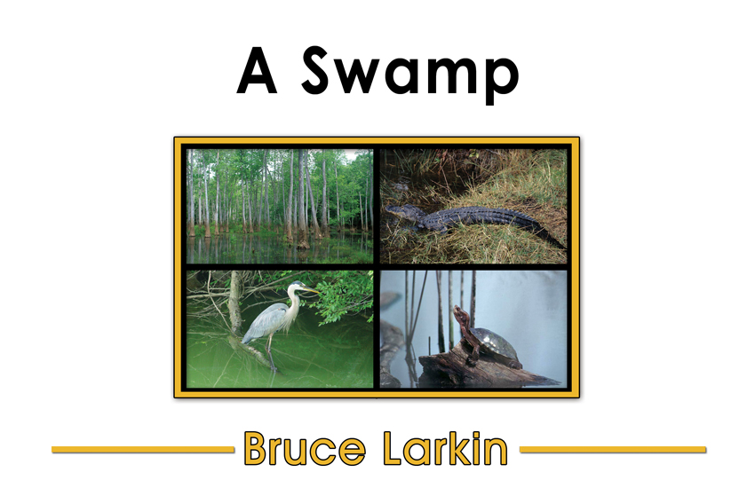A Swamp (PreK Book) Wilbooks