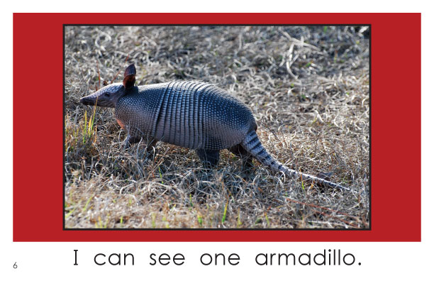 Wild Animals of Orange County, FL (Kindergarten Book) - Wilbooks Wild Animals of Orange County, FL (Kindergarten Book) - Wilbooks