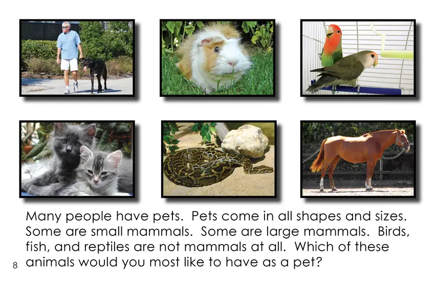 Is Your Pet a Mammal? (First Grade Book) - Wilbooks