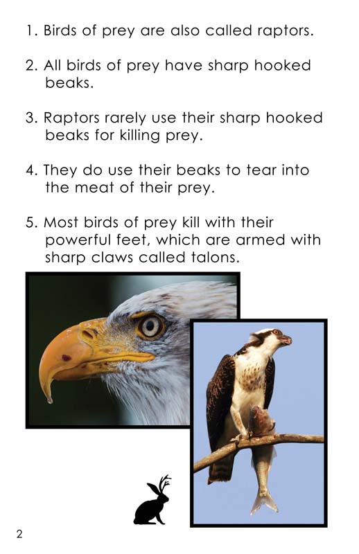 facts and statistics about birds of prey