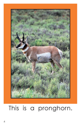 For Kids: Wildlife of South Dakota