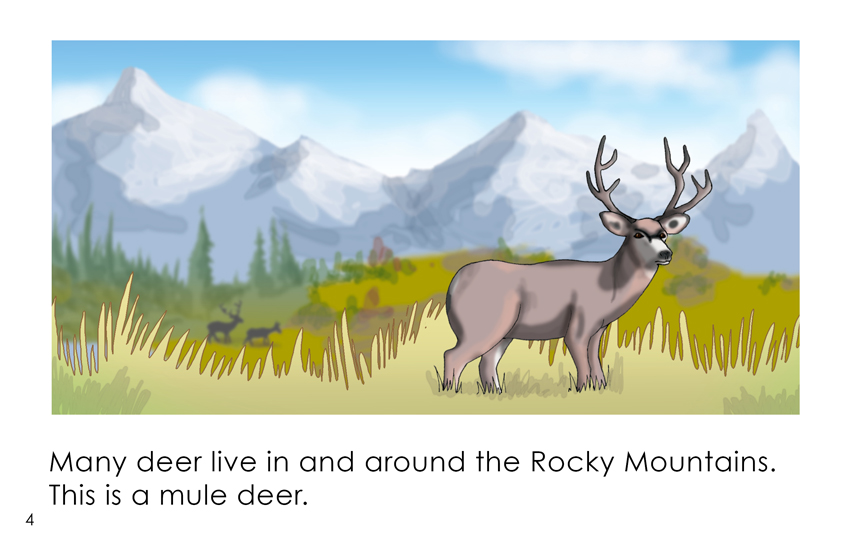5 Rocky Mountain Adaptors - Animals That Adapt To Winter - Jake's