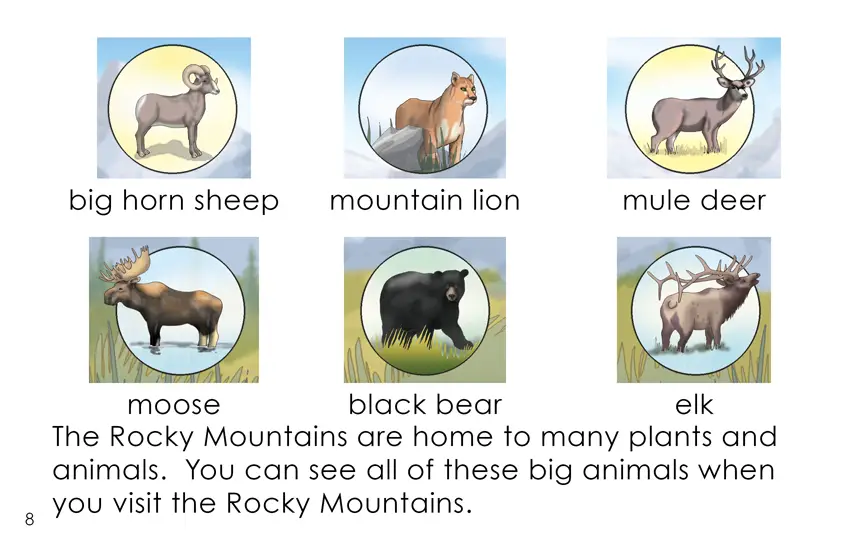 Rocky Mountain Animals (First Grade Book) - Wilbooks
