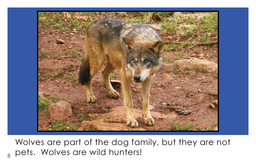 Wolves　Book)　Are　Hunters　Grade　(First　Wilbooks
