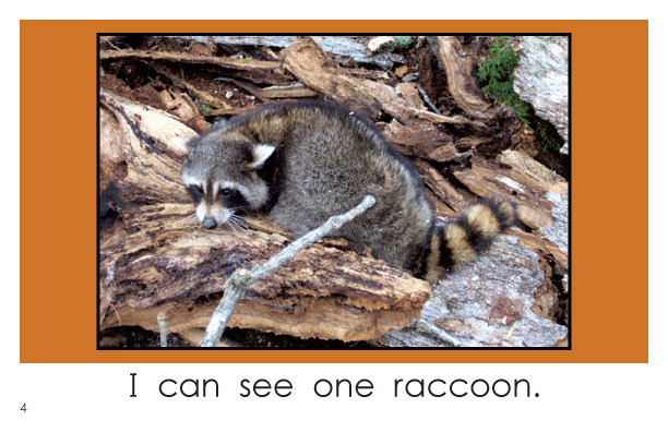 Wild Animals of Bucks County (Kindergarten Book) - Wilbooks Wild Animals of Bucks County (Kindergarten Book) - Wilbooks