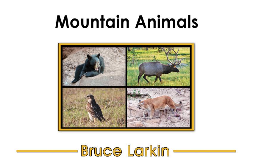 mountain animals list