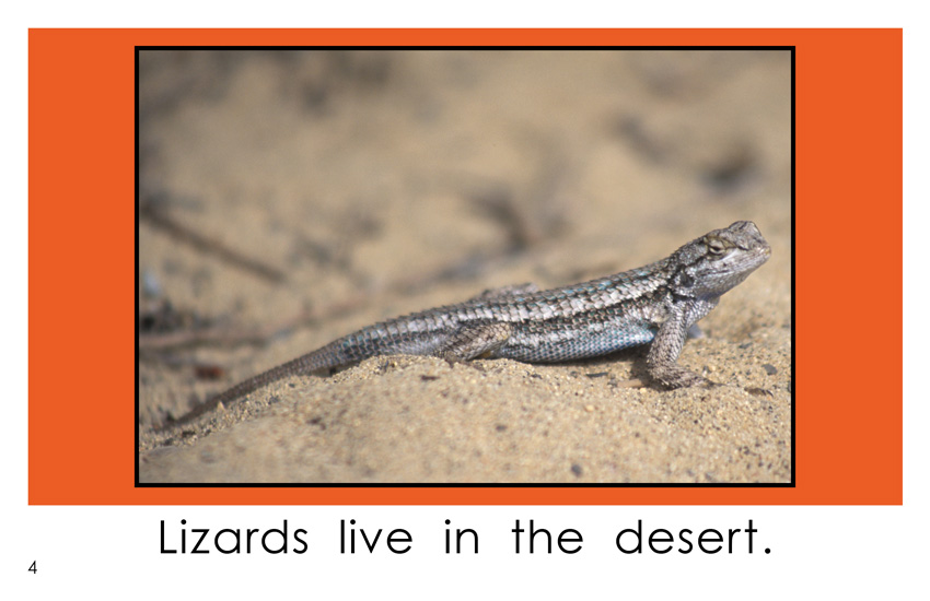 Desert Animals (Kindergarten Book) - Wilbooks Desert Animals (Kindergarten Book) - Wilbooks