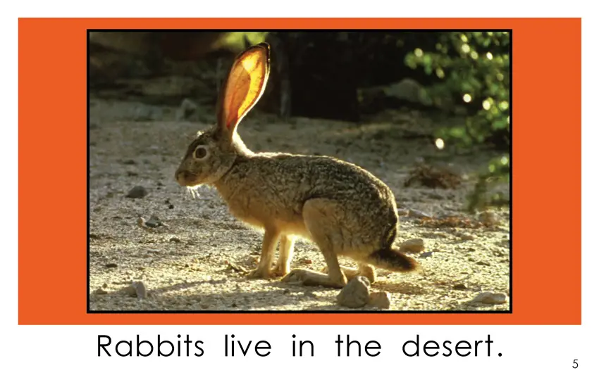 Desert Animals (Kindergarten Book) - Wilbooks