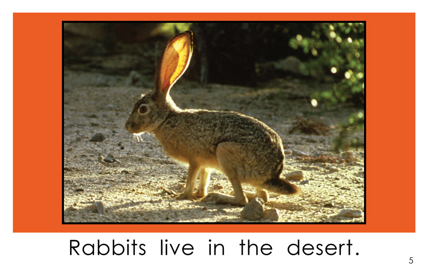 Desert Animals (Kindergarten Book) - Wilbooks Desert Animals (Kindergarten Book) - Wilbooks