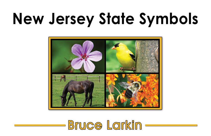New Jersey State Symbols (First Grade Book) - Wilbooks