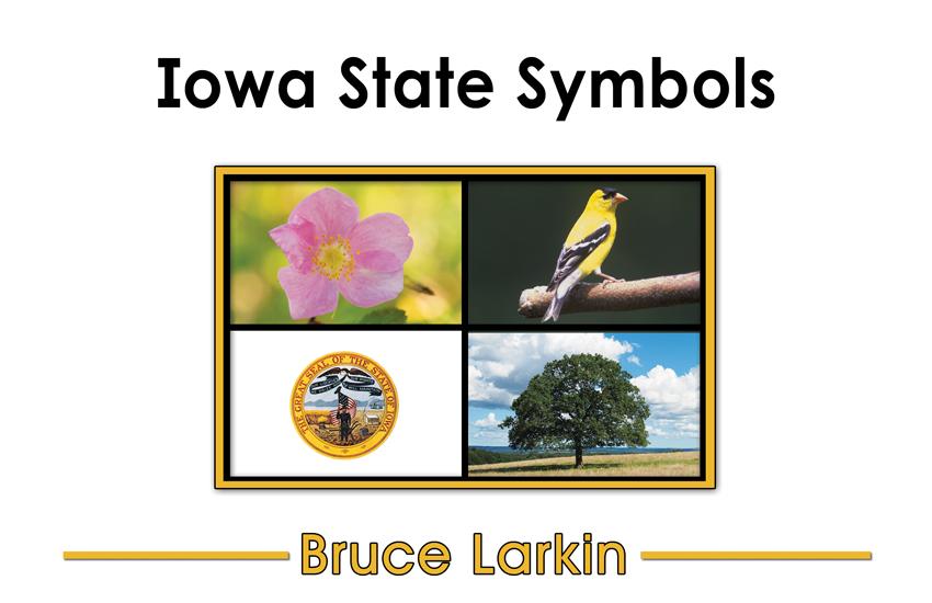 Iowa State Symbols (First Grade Book) - Wilbooks