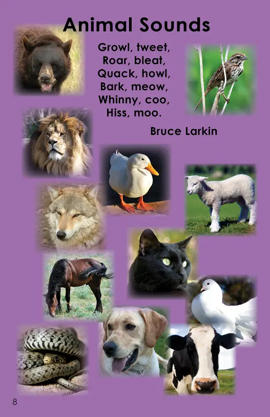 Short Nonfiction Animal Poems, Vol 5 (First Grade Book) - Wilbooks