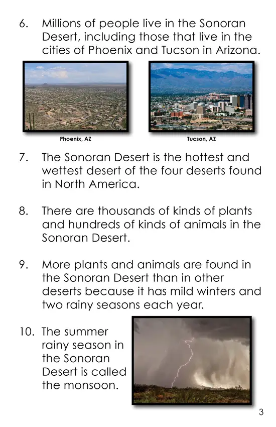 50 Facts About the Sonoran Desert (Second Grade Book) - Wilbooks