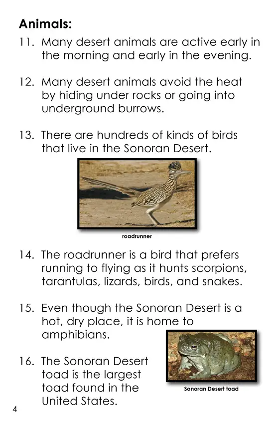 50 Facts About the Sonoran Desert (Second Grade Book) - Wilbooks