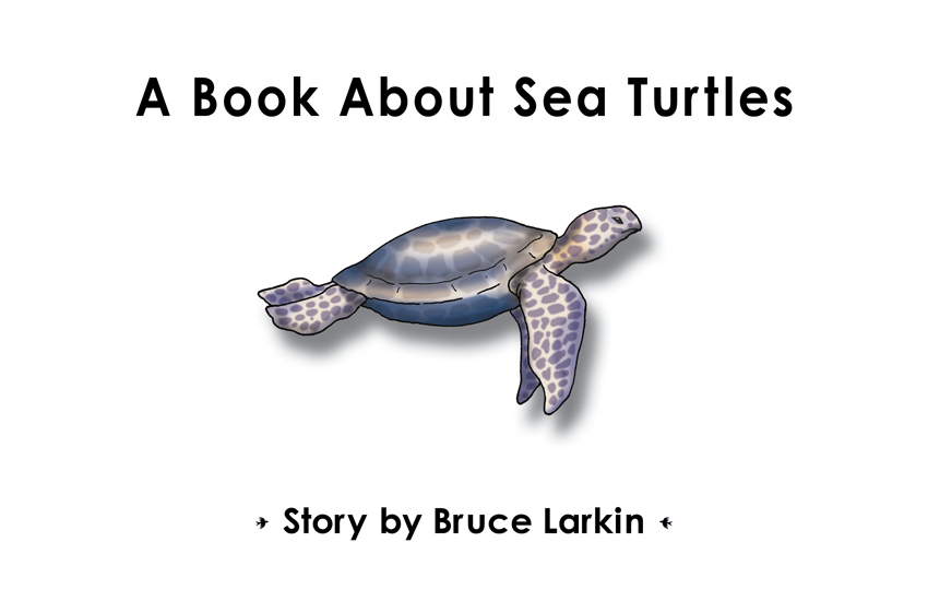 A Book About Sea Turtles (First Grade Book) - Wilbooks