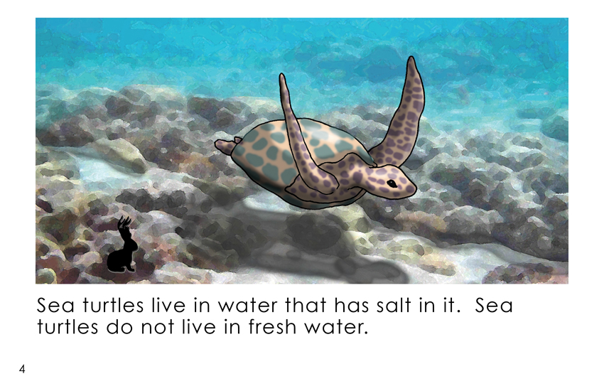 Sea Turtle Book for Kids Brings Awareness and Heart - 30A