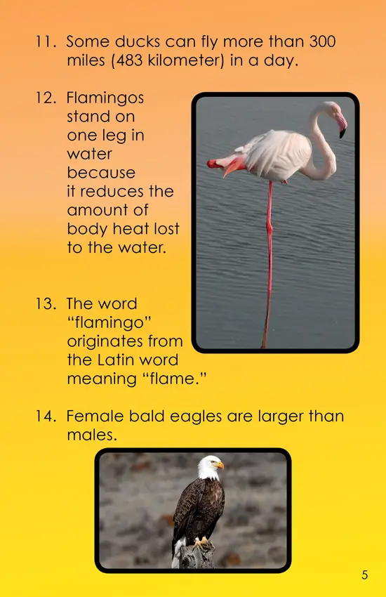 Amazing Animal Facts, Vol. 3: 