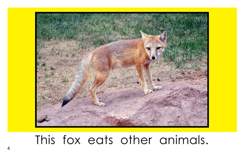 These Animals Eat Other Animals, Vol. 3: 