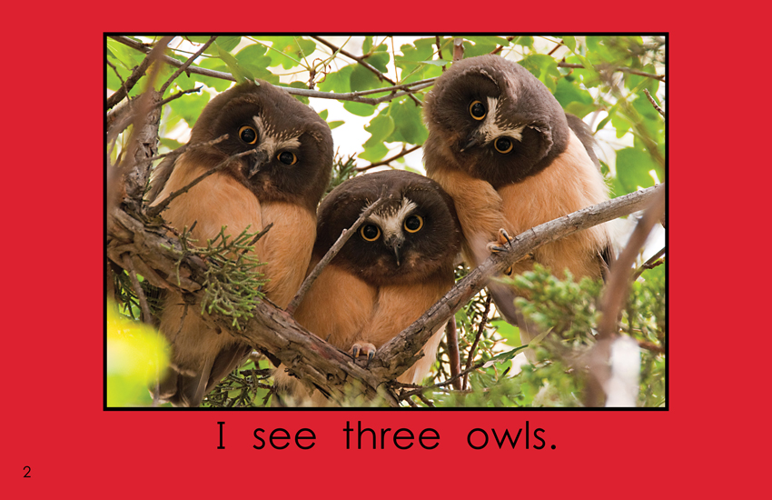 I See Three Wild Animals I See Three Wild Animals